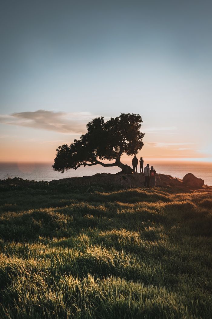 Dramatic sunset scene with silhouetted tree and people in Pismo Beach, California.